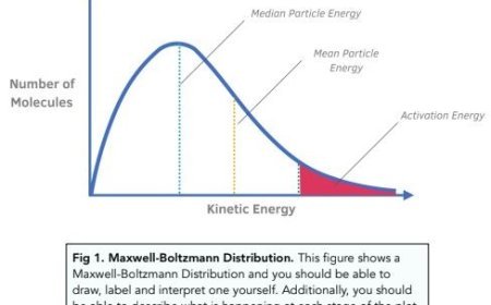 THE MAXWELL-BOLTZMANN DISTRIBUTION OF VELOCITY