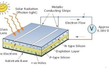 PHOTODIODE