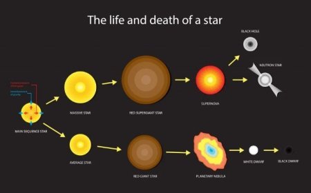 WHITE DWARFS