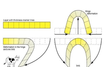 CAUSES OF FOLDING