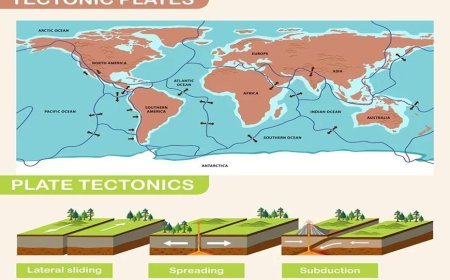 SEVEN MAJOR TECTONIC PLATES
