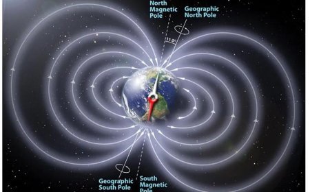 MAGNETIC FIELD OF SOLAR SYSTEM OBJECTS