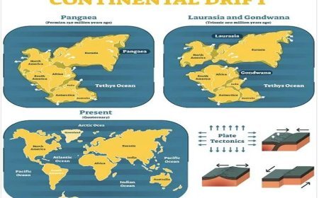 CONTINENTAL DRIFT THEORY