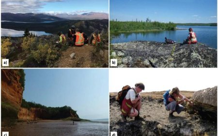 GEOMORPHOLOGY AND MINERAL EXPLORATION