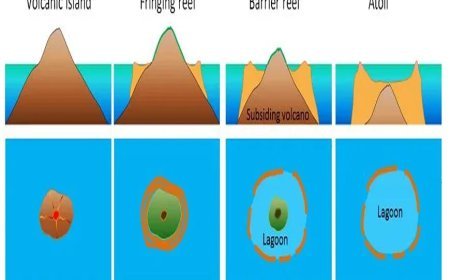 CORAL REEFS IN INDIA & CORAL BLEECHING