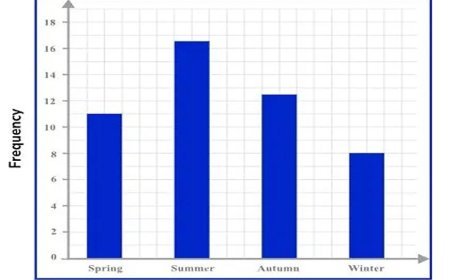 GRAPHICAL REPRESENTATION IN MATHS