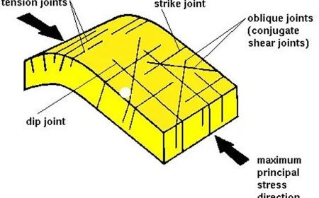 JOINTS AND ITS TYPES