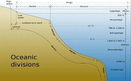 MARINE GEOLOGY