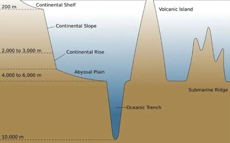 OCEAN TRENCH