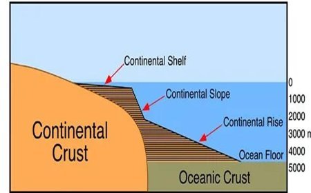 OCEANIC BASIN