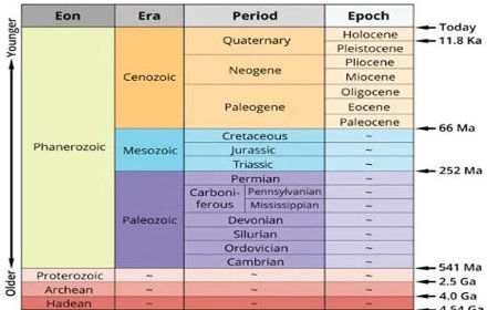 QUARTERNARY PERIOD