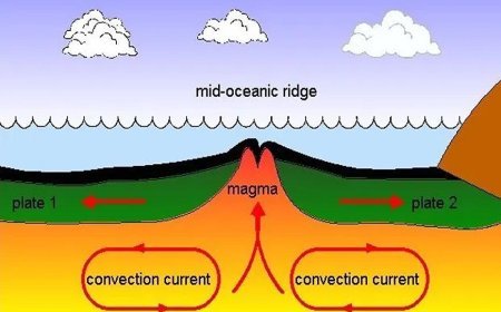SEA FLOOR SPREADING
