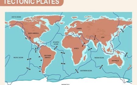 TECTONIC PLATES ON THE EARTH