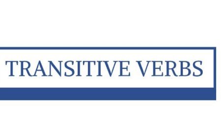 TRANSITIVE VERBS