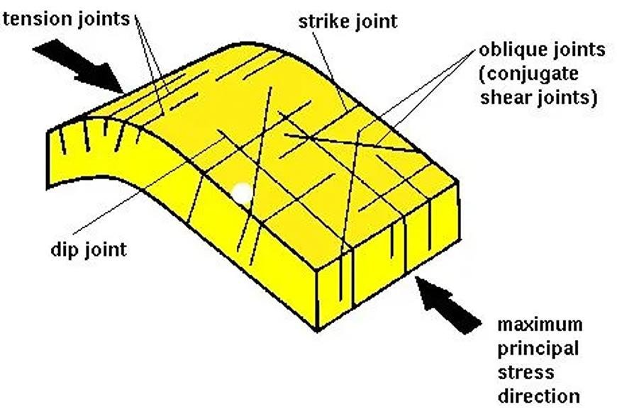 JOINTS AND ITS TYPES