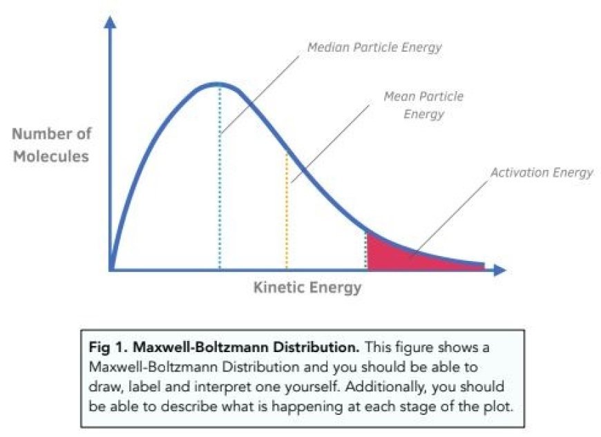 THE MAXWELL-BOLTZMANN DISTRIBUTION OF VELOCITY