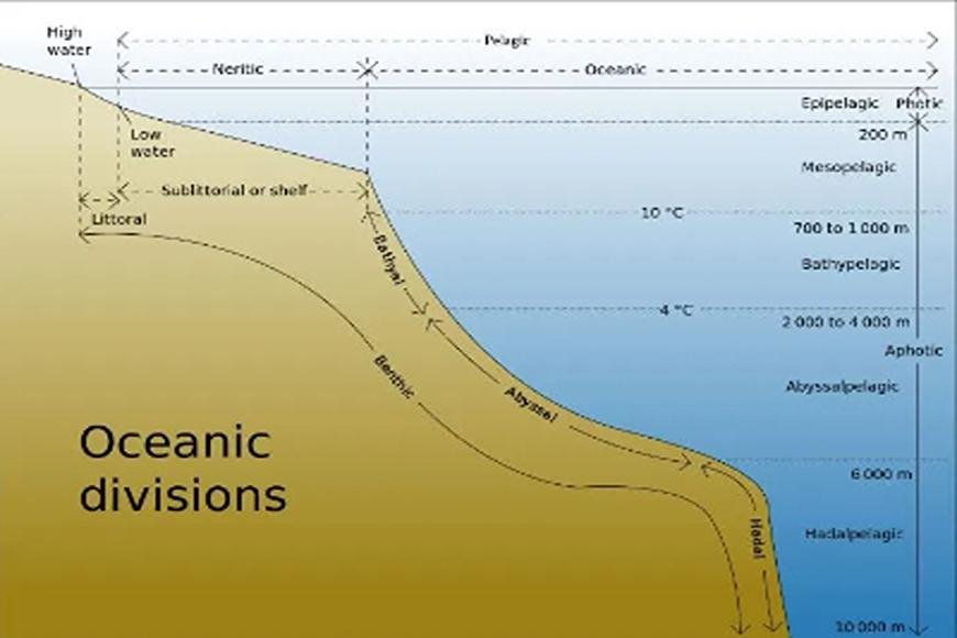 MARINE GEOLOGY