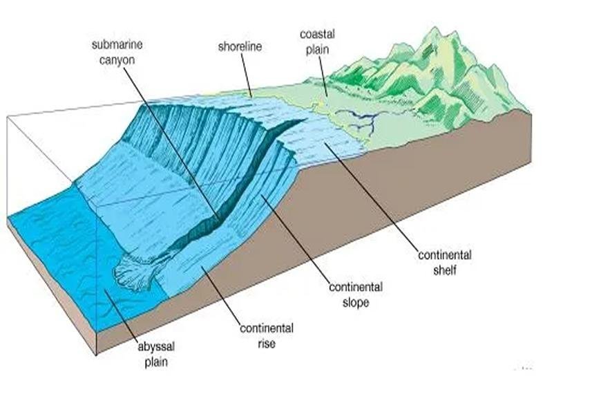 SUBMARINE CANYON