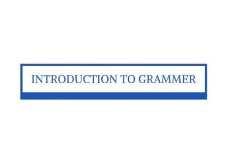 INTRODUCTION  TO GRAMMER