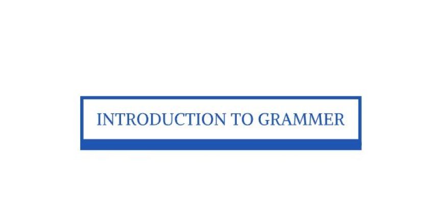 INTRODUCTION  TO GRAMMER