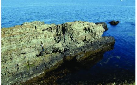 MAJOR GEOLOGICAL BOUNDARY PROBLEMS IN INDIA