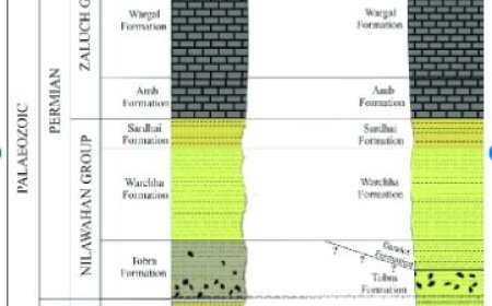 THE CAMBRIAN OF SALT RANGE