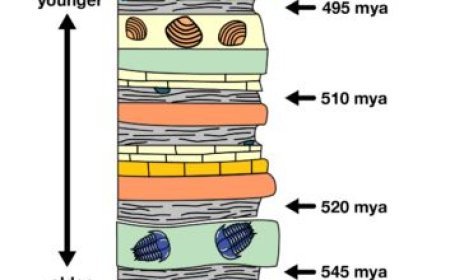 BIOSTRATIGRAPHY