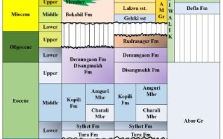 TERTIARY OF ASSAM