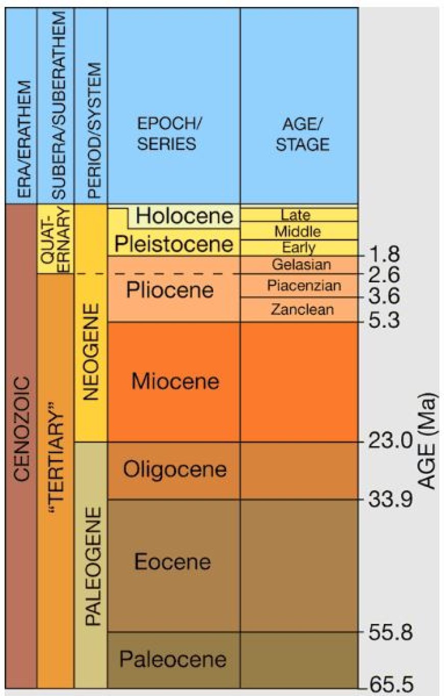 TERTIARY AND QUARTERNARY FORMATIONS