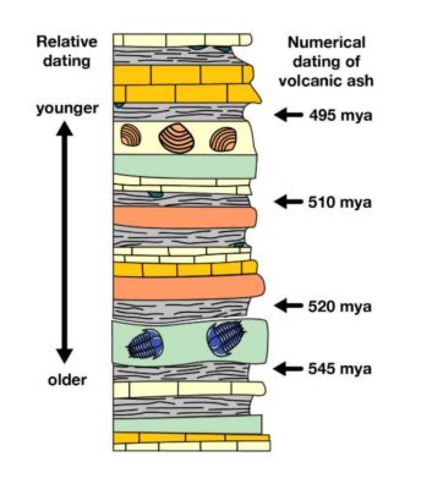 BIOSTRATIGRAPHY