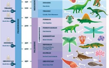 EVOLUTION OF INVERTEBRATES ACROSS GEOLOGICAL AGES