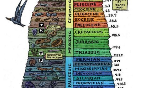 ORGANIC EVOLUTION AND EVIDENCE OF EVOLUTION