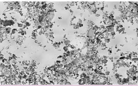 MICROPALEONTOLOGICAL METHODS IN GEOLOGY