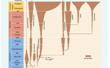 EVOLUTION OF VERTEBRATES THROUGH GEOLOGIC TIME