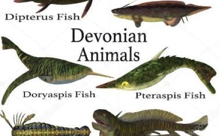 DEVONIAN FISHES AND MESOZIC REPTILES