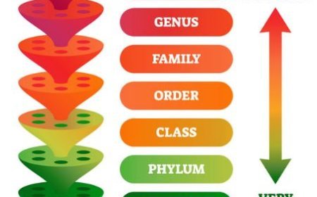 CLASSIFICATION OF ORGANISMS: CONCEPT OF SPECIES AND BINOMIAL NOMENCLATURE, HABITS, AND HABITATS
