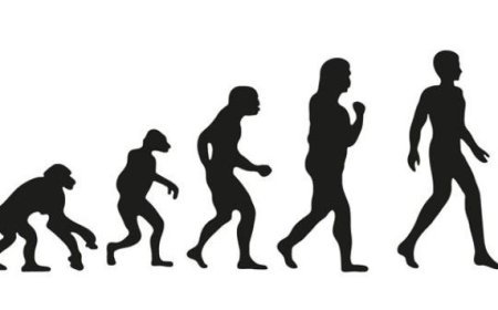 USES OF PALEONTOLOGICAL DATA IN VARIOUS FIELDS OF GEOLOGY