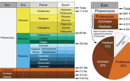 A CHRONOLOGICAL INVESTIGATION OF THE EVOLUTION OF LIFE DURING THE GEOLOGICAL ERA