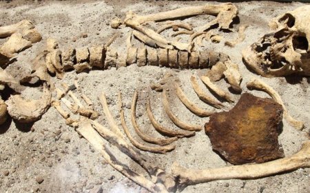 RADIOCARBON DATING OF FOSSILS