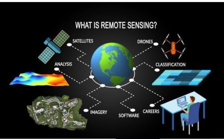 SATELLITE REMOTE SENSING