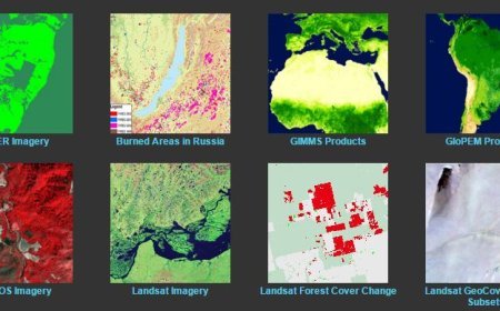SATELLITE DATA INTERPRETATION