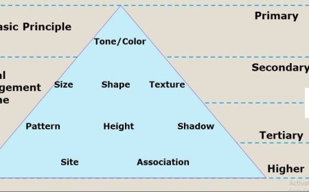 INTERPRETATION STRATEGIES AND KEYS IN REMOTE SENSING