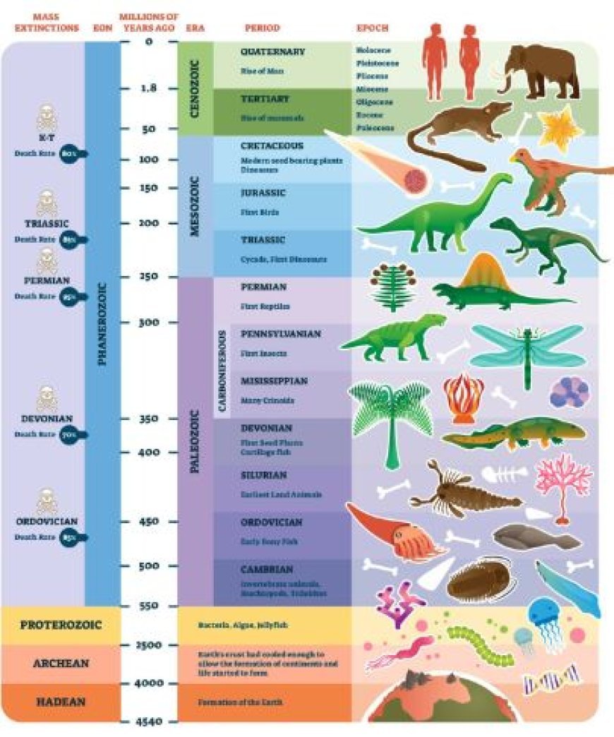 EVOLUTION OF INVERTEBRATES ACROSS GEOLOGICAL AGES