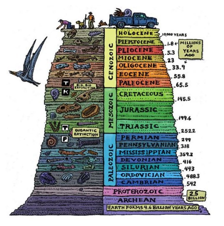 ORGANIC EVOLUTION AND EVIDENCE OF EVOLUTION