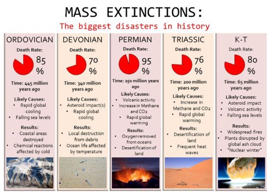 MASS EXTINCTIONS AND THEIR CAUSES