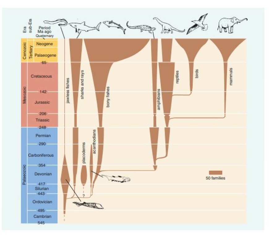 EVOLUTION OF VERTEBRATES THROUGH GEOLOGIC TIME