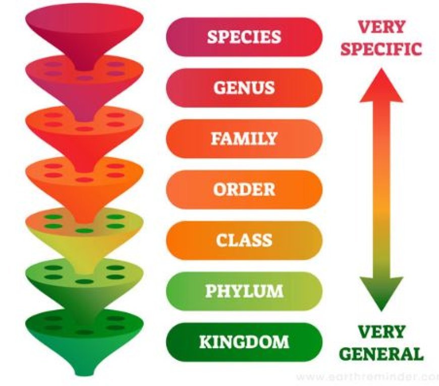 CLASSIFICATION OF ORGANISMS: CONCEPT OF SPECIES AND BINOMIAL NOMENCLATURE, HABITS, AND HABITATS