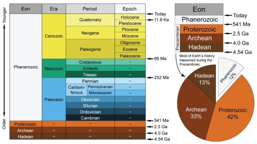 A CHRONOLOGICAL INVESTIGATION OF THE EVOLUTION OF LIFE DURING THE GEOLOGICAL ERA