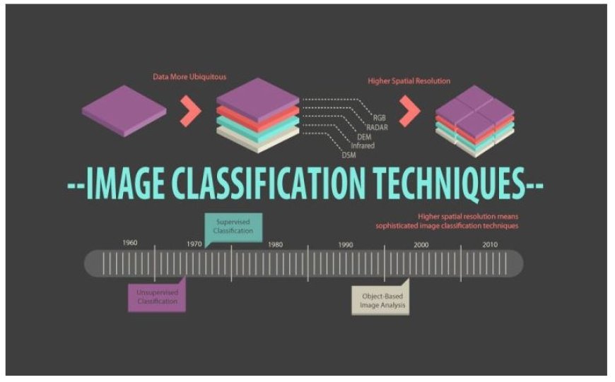 IMAGE CLASSIFICATION