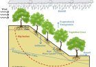 CRITICAL FACTORS AFFECTING SLOPE STABILITY